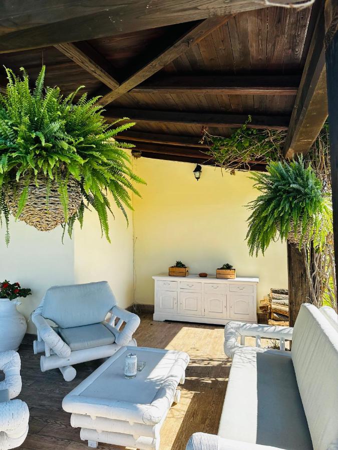 Chanel Garden Relaxation Home Formello Exterior foto